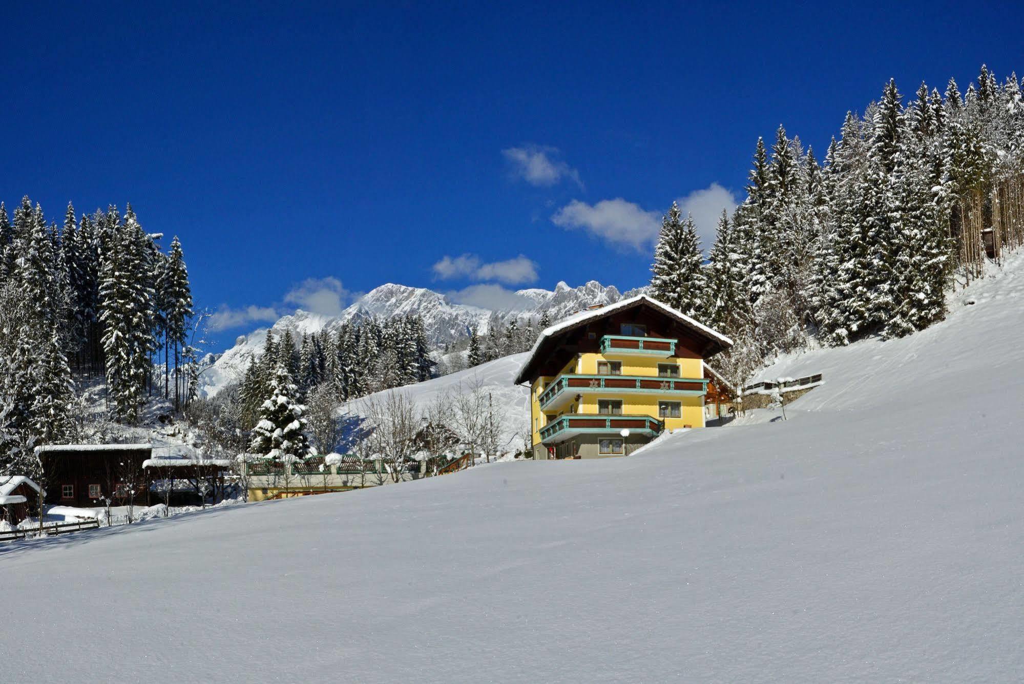 Mühlbach am Hochkönig Haus Elisabeth B&B 외부 사진