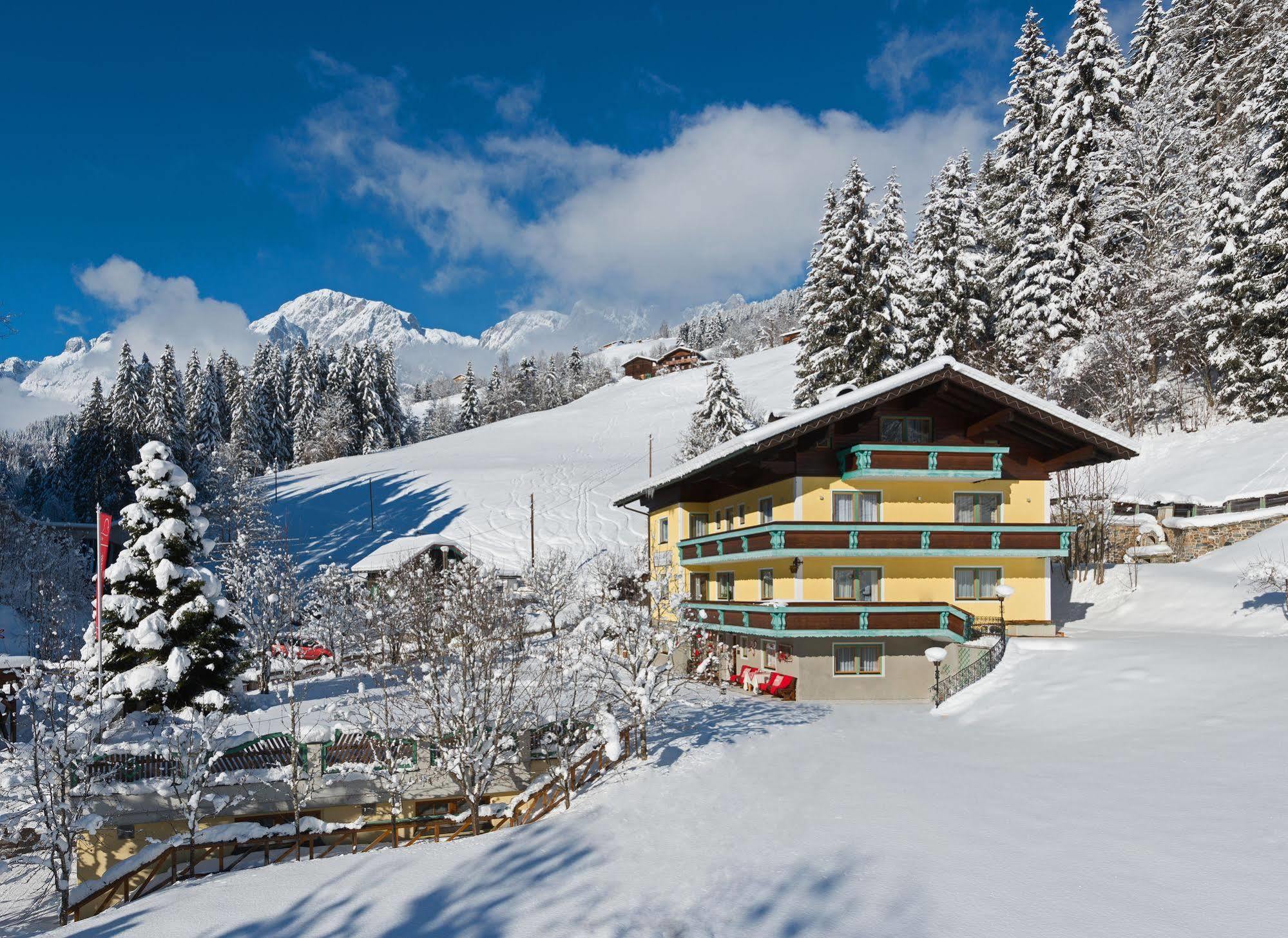 Mühlbach am Hochkönig Haus Elisabeth B&B 외부 사진