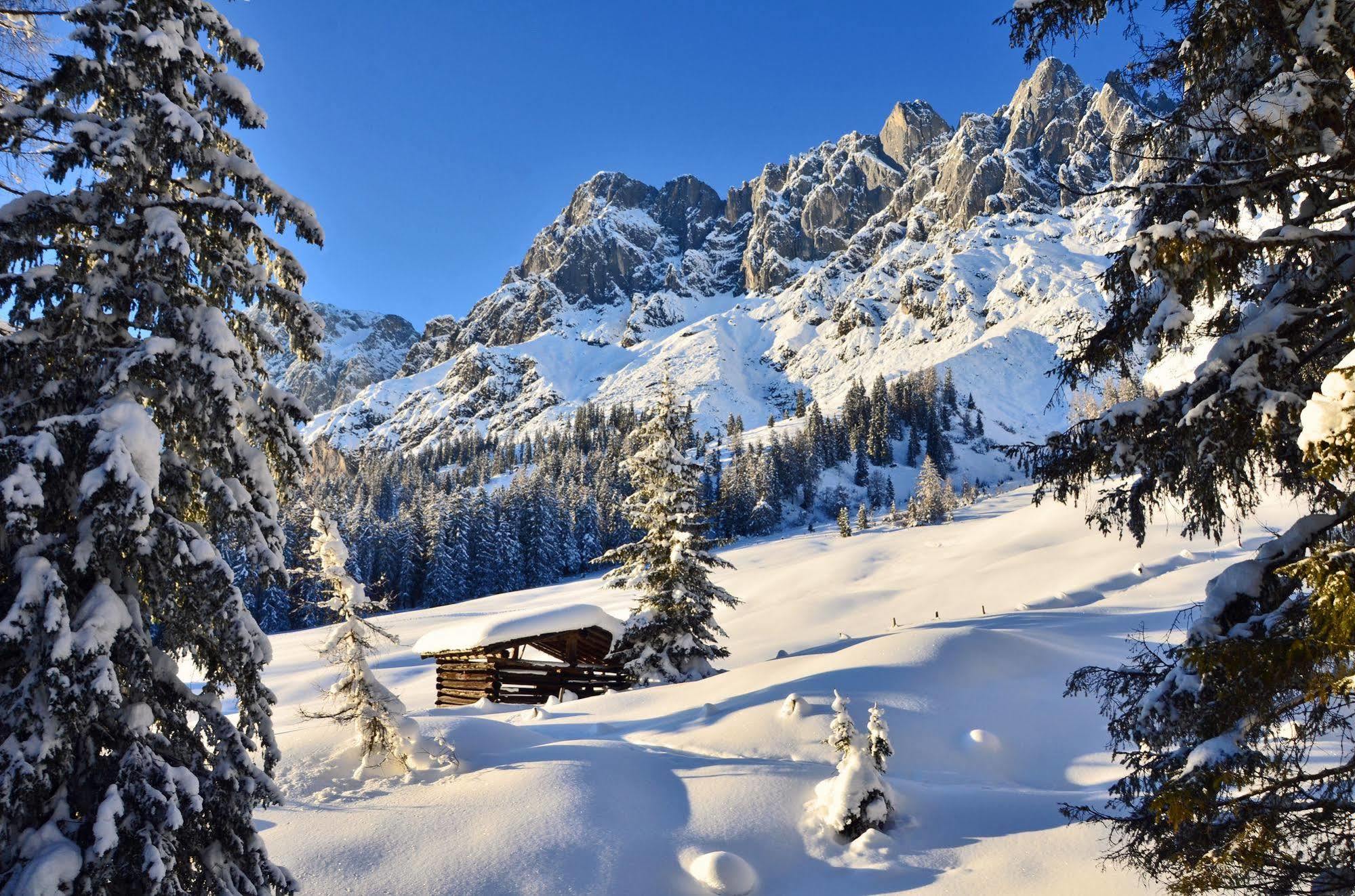 Mühlbach am Hochkönig Haus Elisabeth B&B 외부 사진